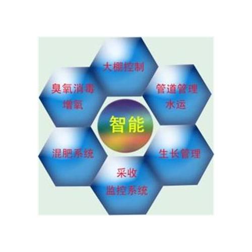 栽植机械 农业机械化中的蔬菜种植利器